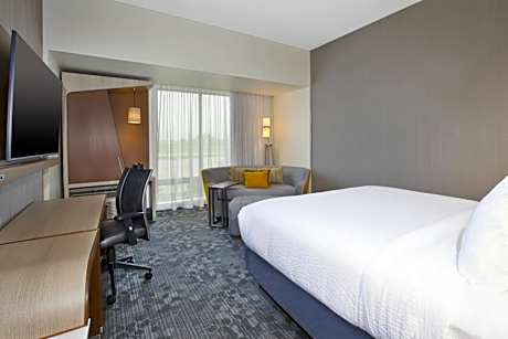 Guest room, 1 King, Sofa bed