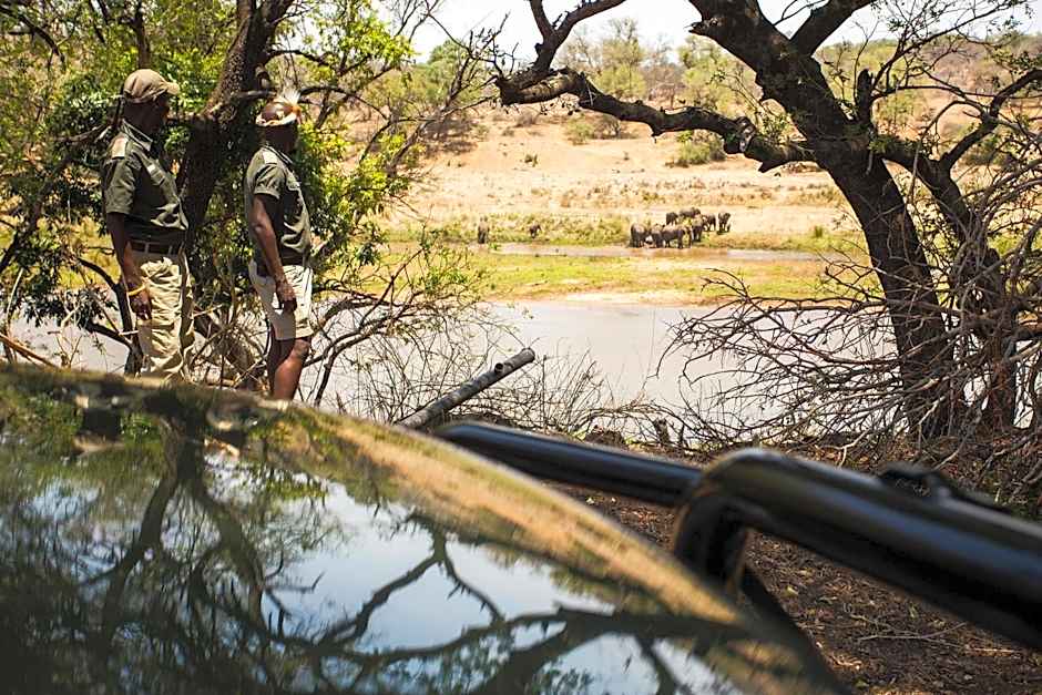 isiLimela Game Lodge