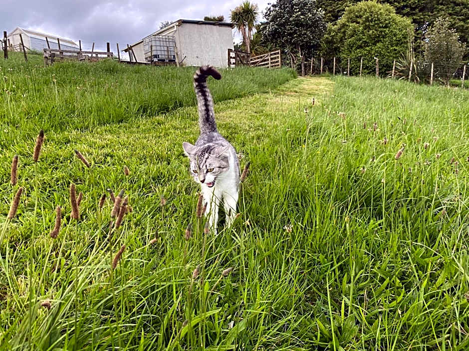 Pukeatua Farmstay