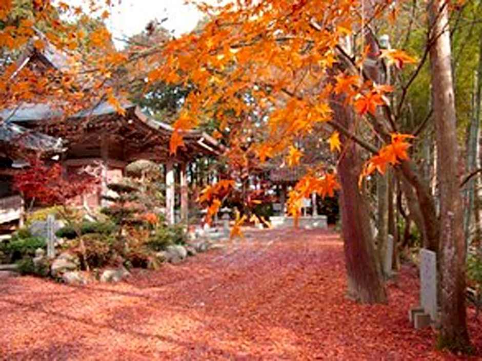 Yasashisanoyado Chikutei