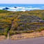 Ocean View Lodge