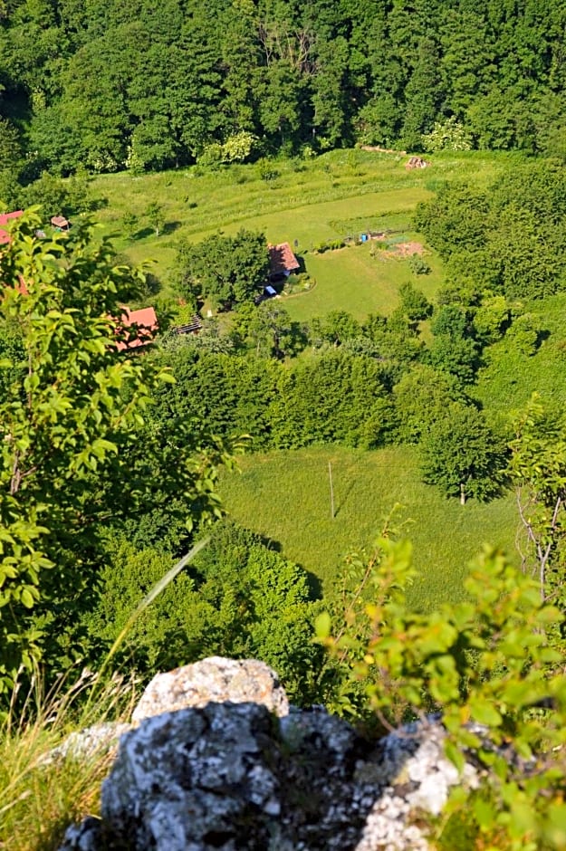 Na Okić - a private forest oasis