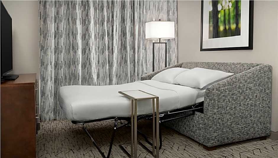 Photo 1 of 7 of Studio 1 King Bed with Sofabed Suite