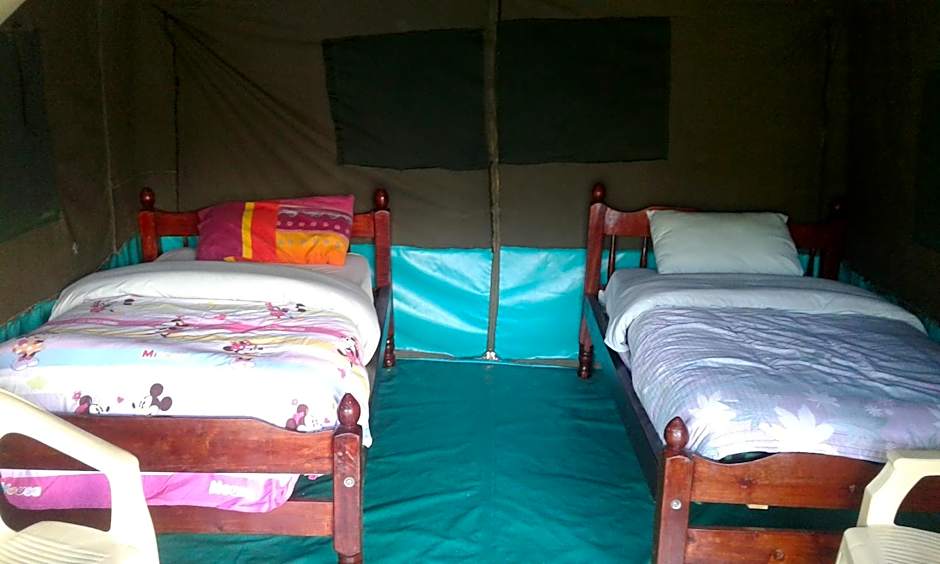 Photo 1 of 7 of Tent