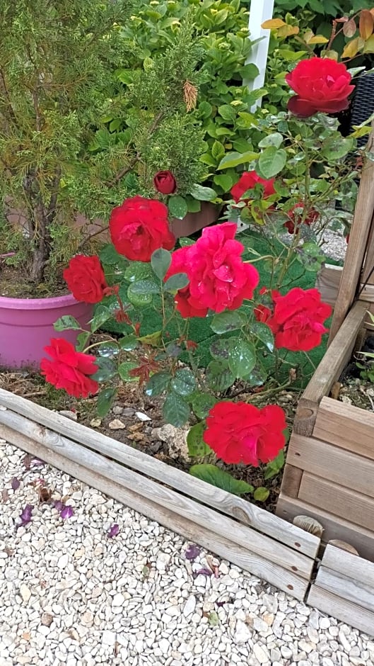 Le Clos des Passiflores