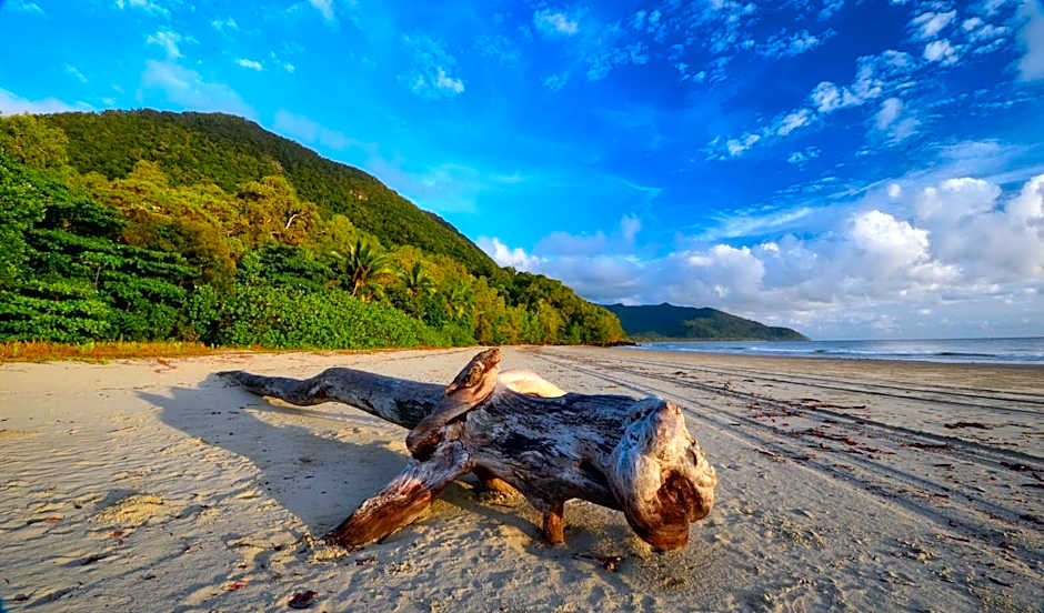 Thornton Beach Bungalows Daintree