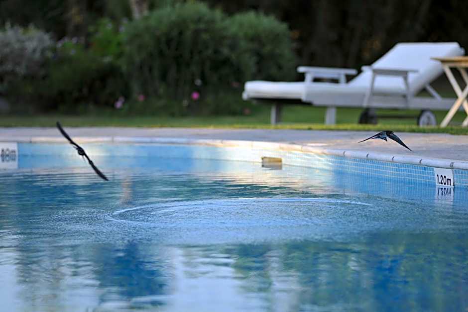 Ammos Naxos Exclusive Apartments & Studios