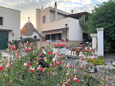 Casa delle Rondini