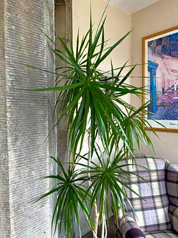 The Acarsaid - Pitlochry