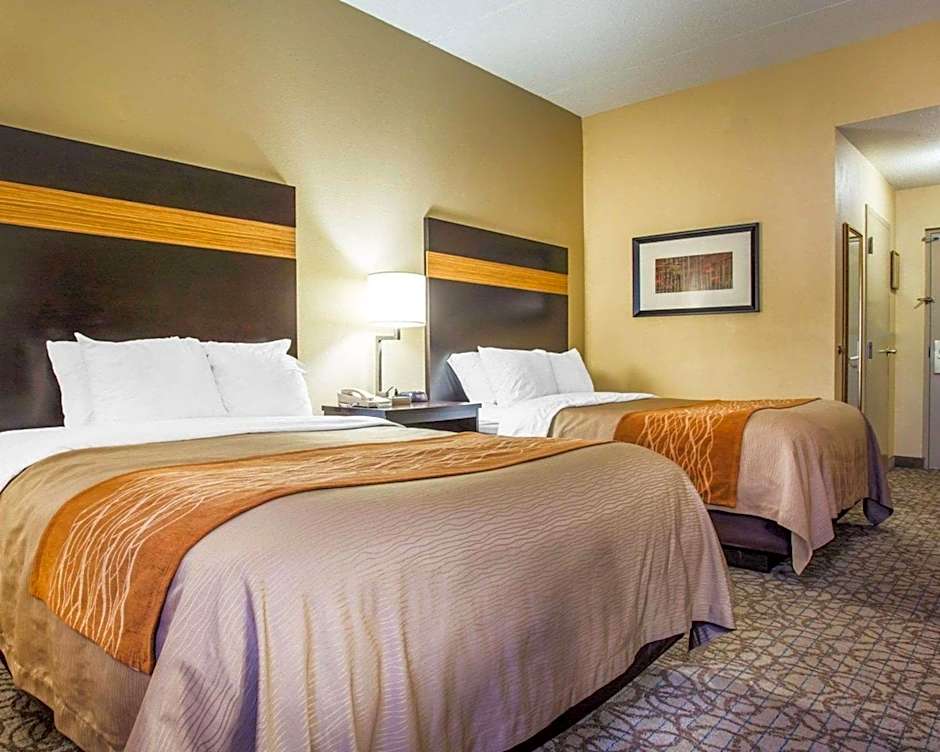 Comfort Inn & Suites At Stone Mountain