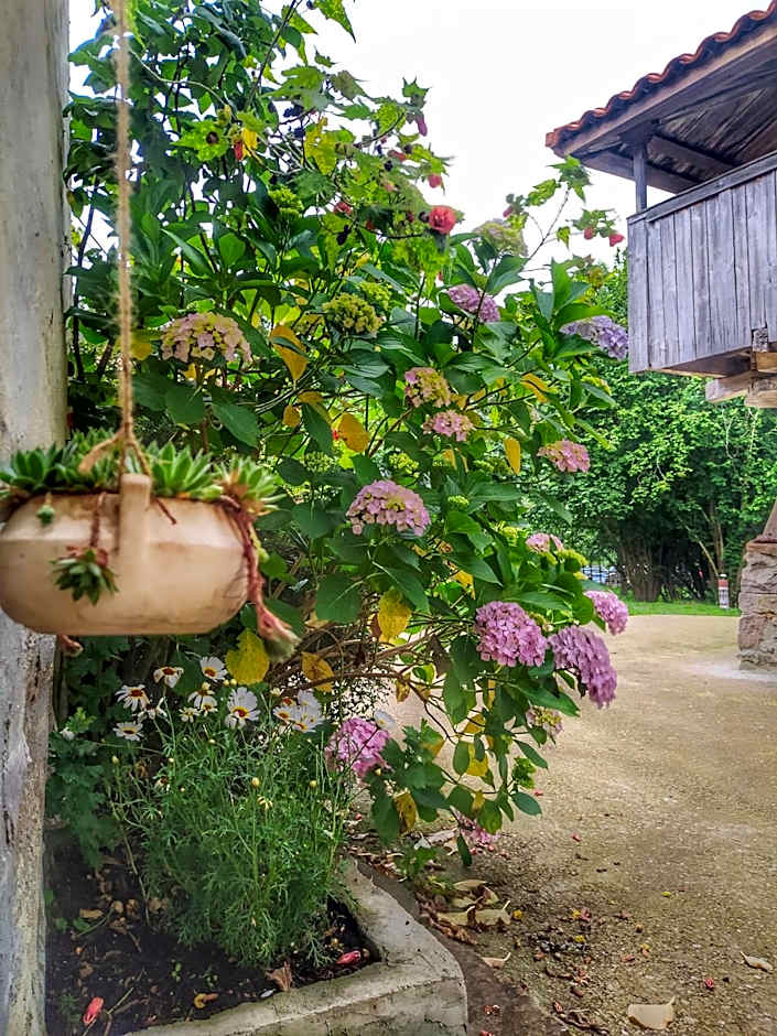 La Figal de Xugabolos, Salas