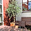 Zocher6 a monumental town house in the city center