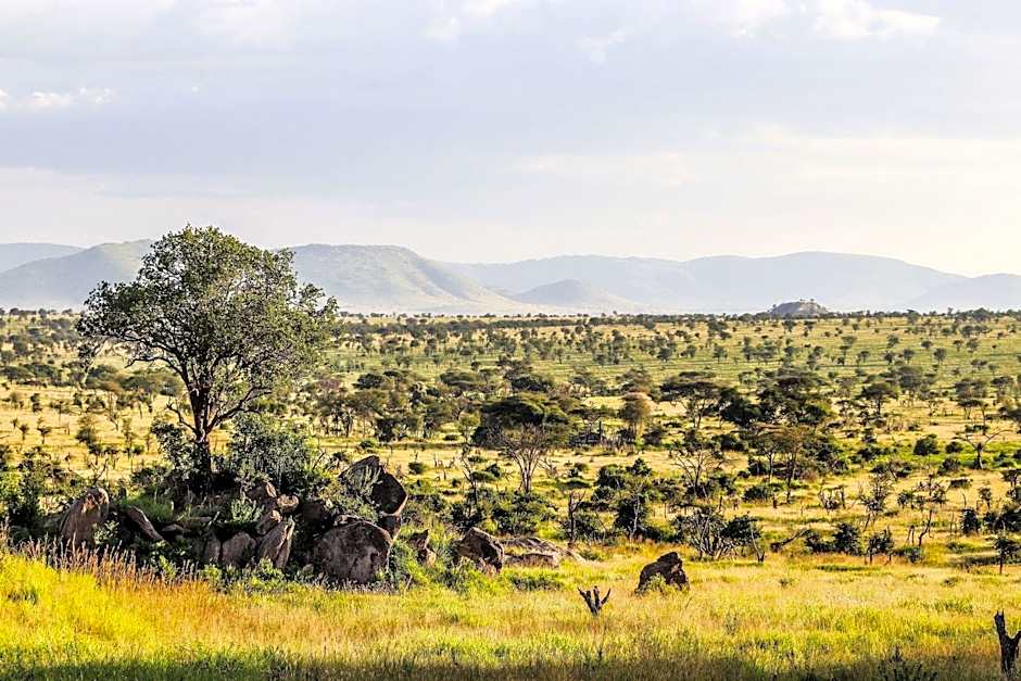 Four Seasons Safari Lodge Serengeti Tanzania