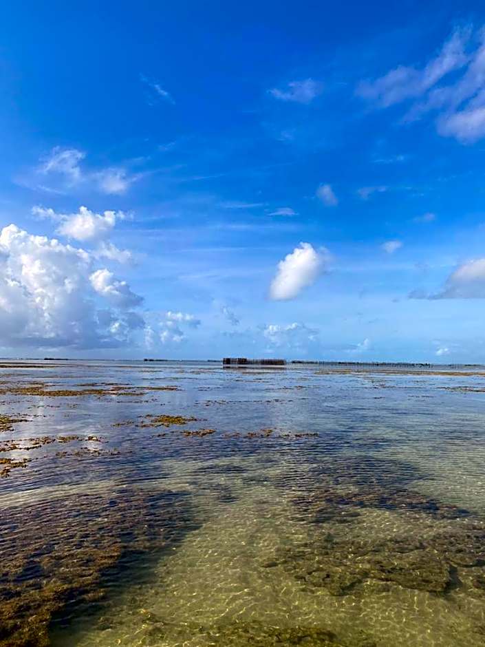 Vilarejo dos Milagres