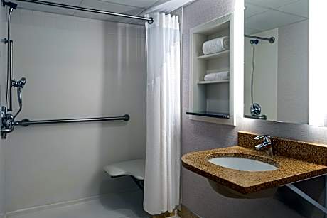 1 Queen Communications Accessible Roll in Shower
