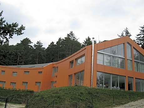 Family Hotel The Body