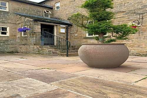 OYO Ye Olde Mustard Pot