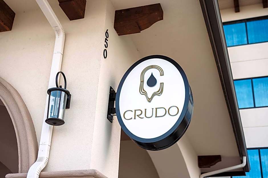 Hotel Indigo Spring - Woodlands Area By IHG