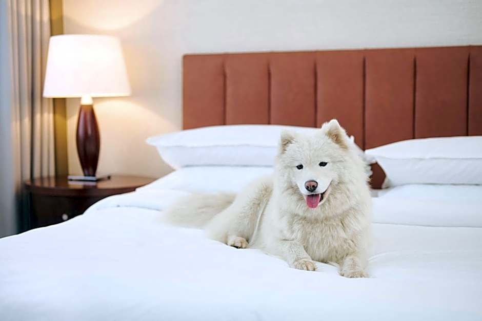 Sheraton Poznan Hotel