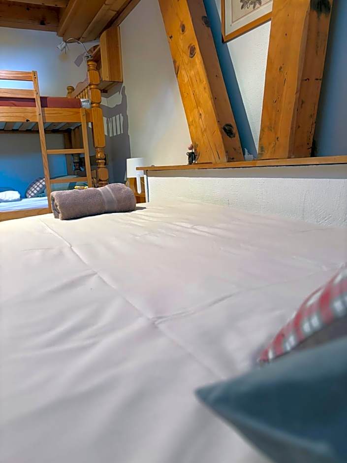 Central Hostel Chatel