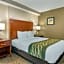 Comfort Inn Douglasville - Atlanta West