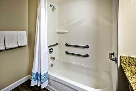 Studio Executive, Larger Studio, Queen, Sofa bed