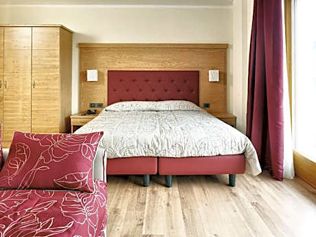 Large Double or Twin Room with Mountain View