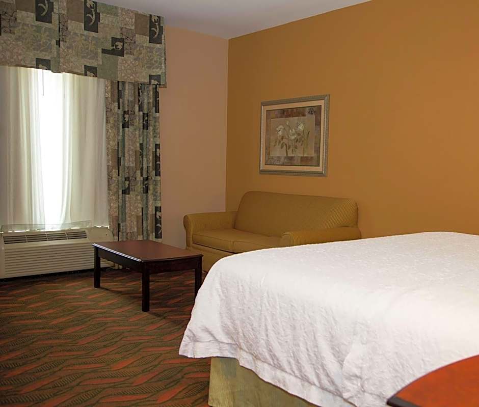 Hampton Inn By Hilton & Suites Houston - Rosenberg