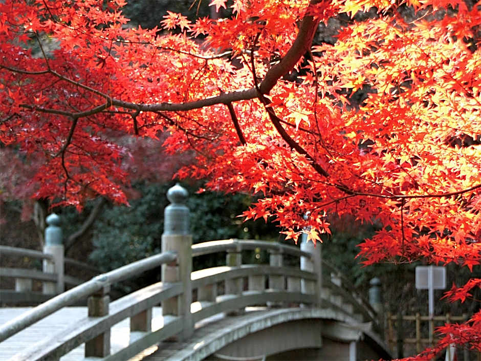 Hotel Trend Okazaki Ekimae