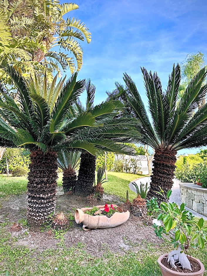 Hotel Boutique Ideal