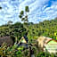 Green Forest Tangkahan