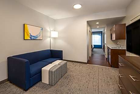 1 Bedroom Suite