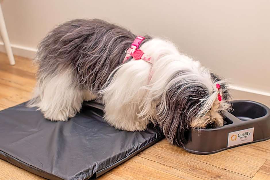 Quality Hotel Aracaju