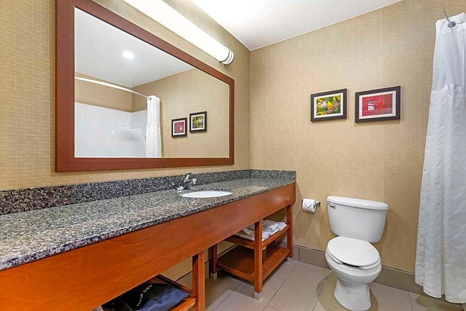 Comfort Inn & Suites Grinnell near I-80