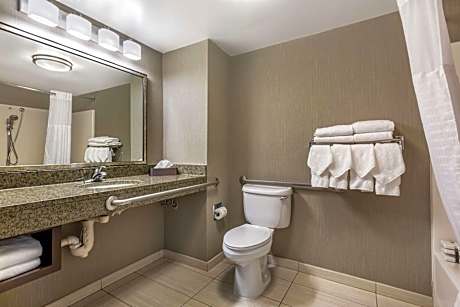 King Suite with Sofa Bed
