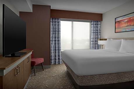 Junior King Suite with Sofa Bed