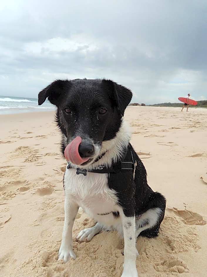 Beachside Backpackers