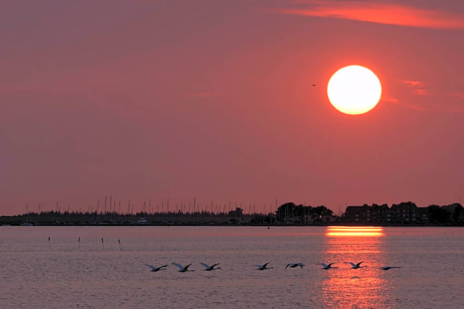 Haus Achtern Diek in erster Reihe am Meer