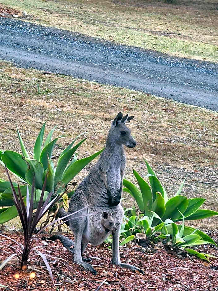 Tuckers Lane Boutique Accommodation