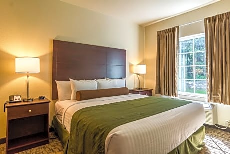 Deluxe King Suite