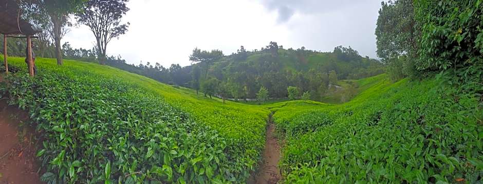 Ranges View Lodge - Aberdare Safari in Murang'a