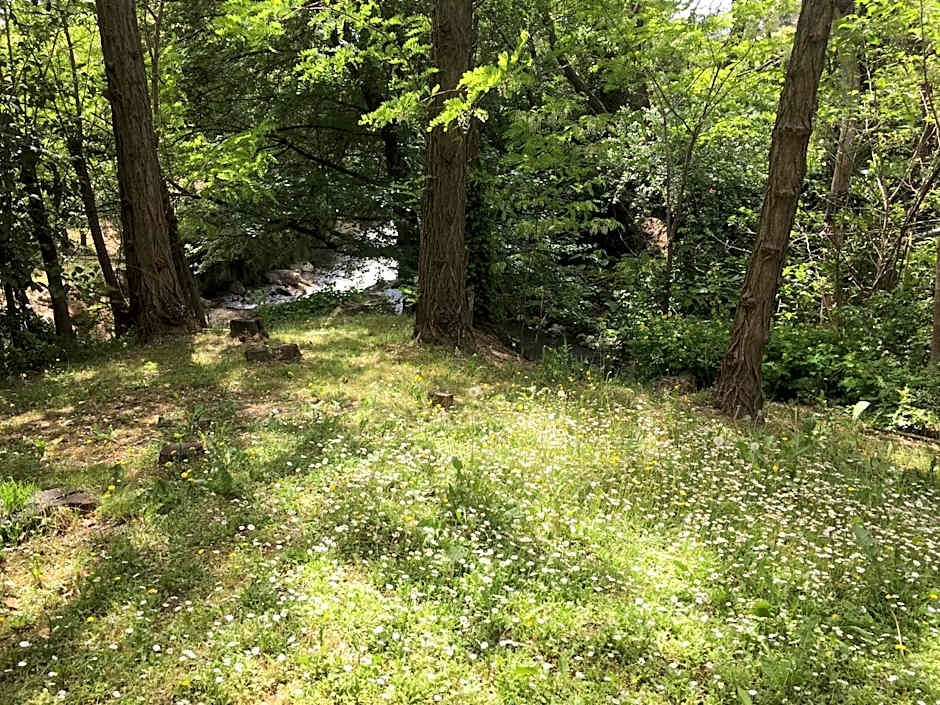 Hotel Bel Alp Manosque