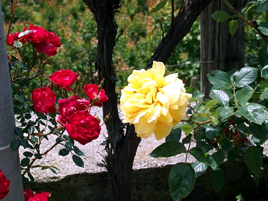 B&B Alle Ortensie Blu