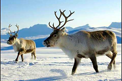 Kirkenes Hotell