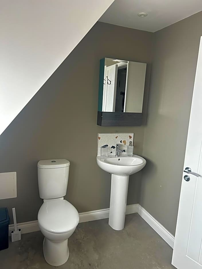 Trowel and Hammer Flat 1