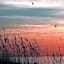 Beach Palms- Unit 102
