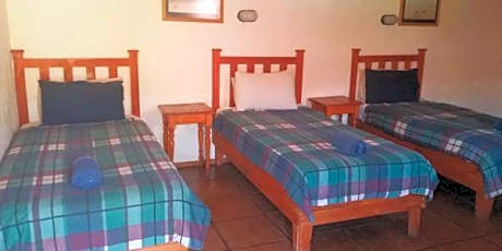 Business Triple Room