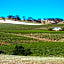 Angaston Vineyards Motel