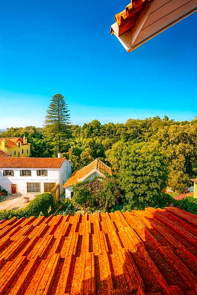 Happy Holiday Sintra