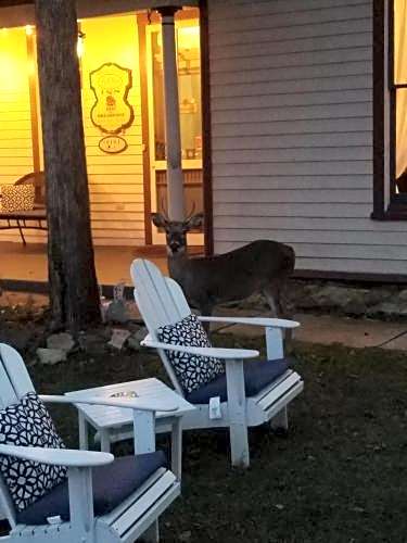 5 Ojo Inn Bed and Breakfast